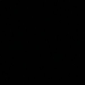 Meet your Posher, Braylon